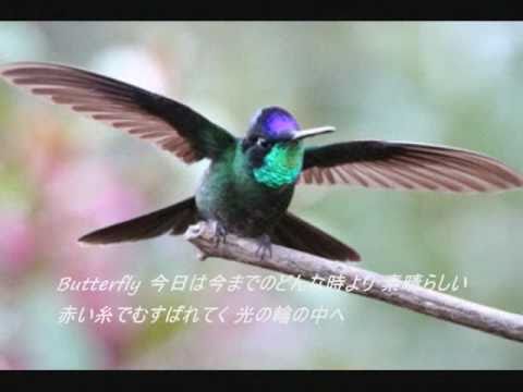 木村カエラ～Butterfly（バタフライ）ピアノソロ(歌詞付き).wmv