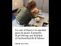Un cane al fianco e in ospedale passa la paura: il progetto di pet therapy per bambini a Milano