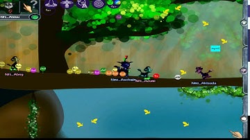 Docking Station wolfling run