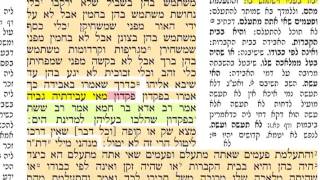 מסכת בבא מציעא דף ל' 30