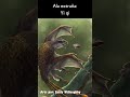 Yi qi, un dragón de verdad