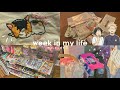 Weekly vlog  watching haikyuu mini daiso haul and cute picnic