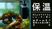 ニッソーマイクロディスクヒーター使ってみた アクアリウム Youtube
