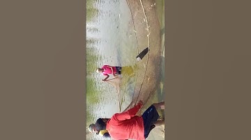 #fishing#shorts #YouTube vairal# video