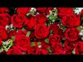 Bed of roses - Bon Jovi (Staytuned Cover) audio only