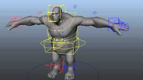 Character rigging playblast