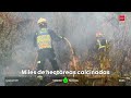 "Preocupa" el pantano de San Juan (Madrid) y "mejora" el escenario en Ávila - laSexta Noticias