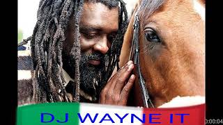 Best of Lucky Dube Mix