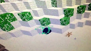 Mineplex: ANOTHER HACKER CAUGHT ON FILM= ObnoxiousBadger