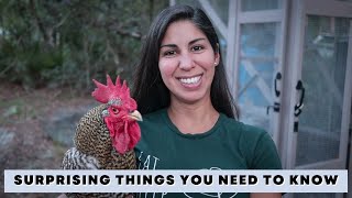 10 Things I've learned in 3 years of keeping chickens (BEGINNER GUIDE to raising backyard chickens)