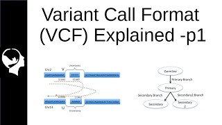 Understanding VCF file | Variant Call Format Part 1/3