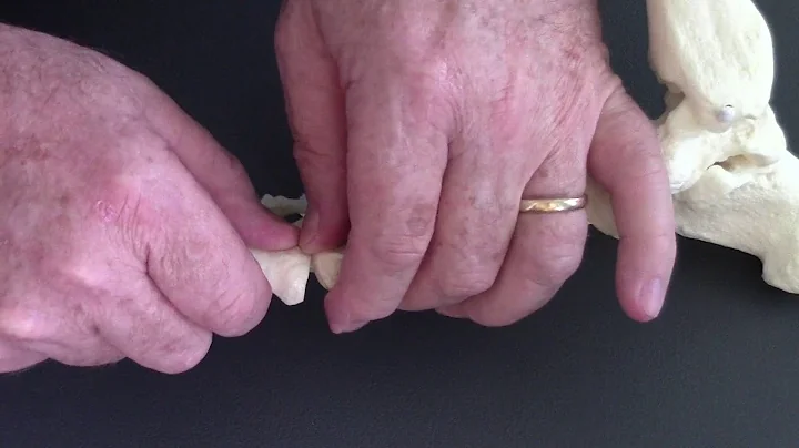 Big Toe Extension Mobilization Hesch Institute