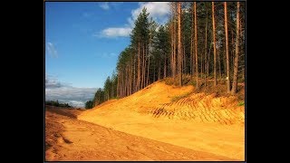 видео: Сосны придумали чтобы остановить пустыни? картинка: Сосны придумали чтобы остановить пустыни?