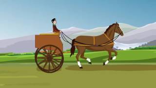 Animals for Transport - YouTube