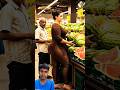 Pretty Woman Buys Watermelon in Supermarket | Dubai Princess Vibes #shrots #viralshort#prettywoman
