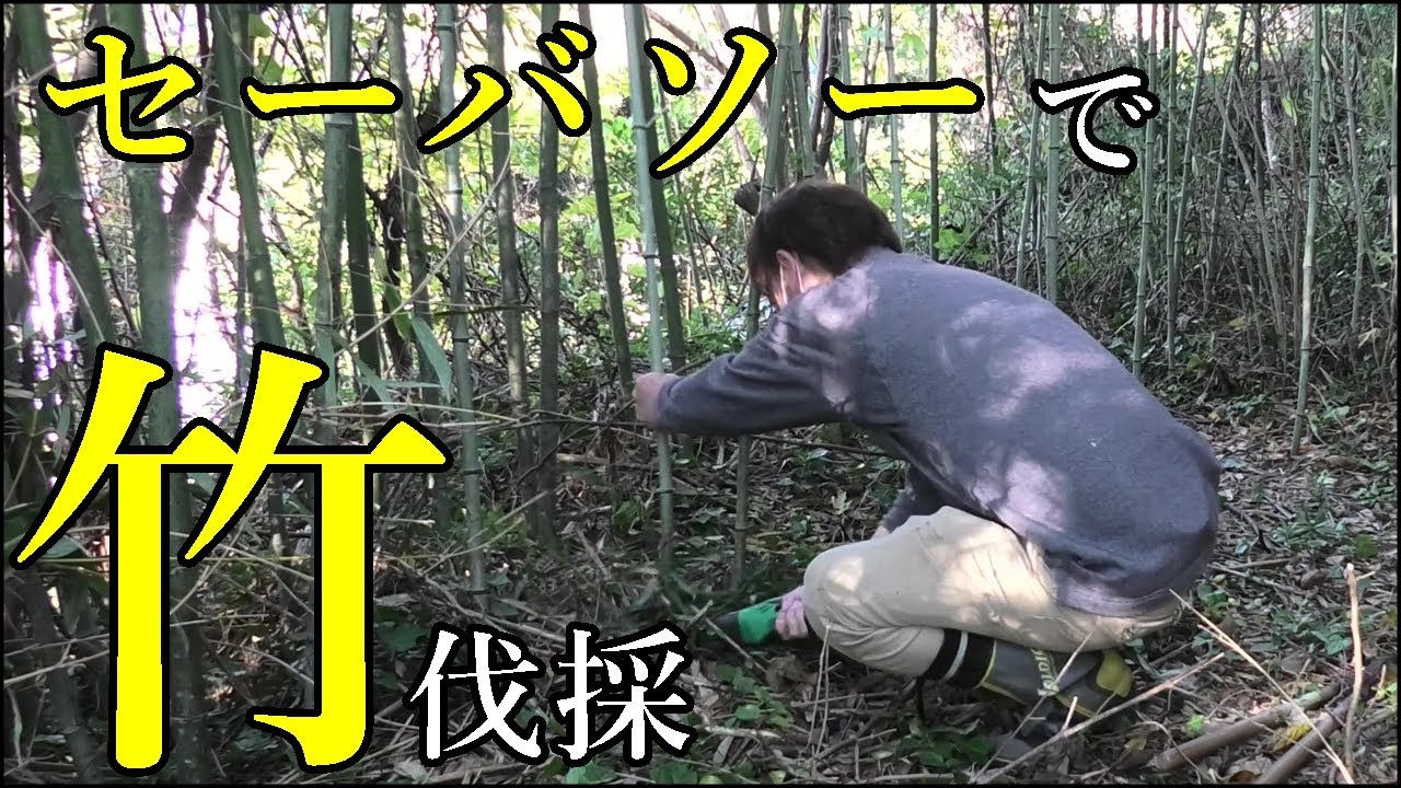 竹の伐採、承ります。 セーバソーで竹伐採｜通路の整備 - YouTube