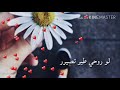 لو روحي طير تصير مهدي العبودي 