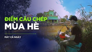 🎣 Trải Nghiệm Câu Cá Chép Sông Tự Nhiên – Điểm Câu Cá Chép Mát Mẻ Giữa Ngày Hè