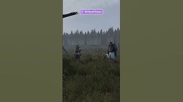 I found the most cooked DayZ server...