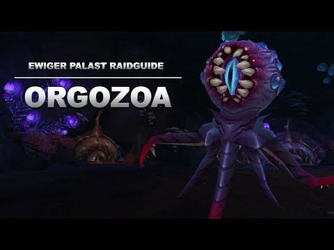 Orgozoa Raidguide - Ewiger Palast (Heroisch, Normal, LFR) | WoW