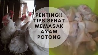 Tips sehat sebelum memasak ayam potong