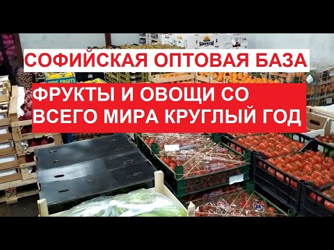 База Оптом Купить В Спб