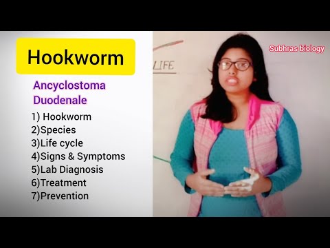 Video: Kass Hookworms - Hookworm Sümptomid Ja Ravi Kassidele