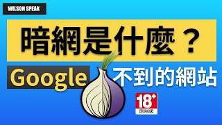 暗網! Dark Web! 你無法google到的東西! TOR 洋蔥瀏覽器 - Wilson說給你聽