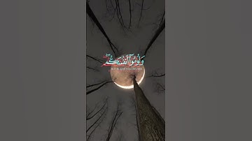 سورة ابراهيم #اكسبلور #المصحف #الرحمن