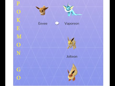 Pokemon Go. Singapore. Eevee evolve to Jolteon, Flareon and Vapereon