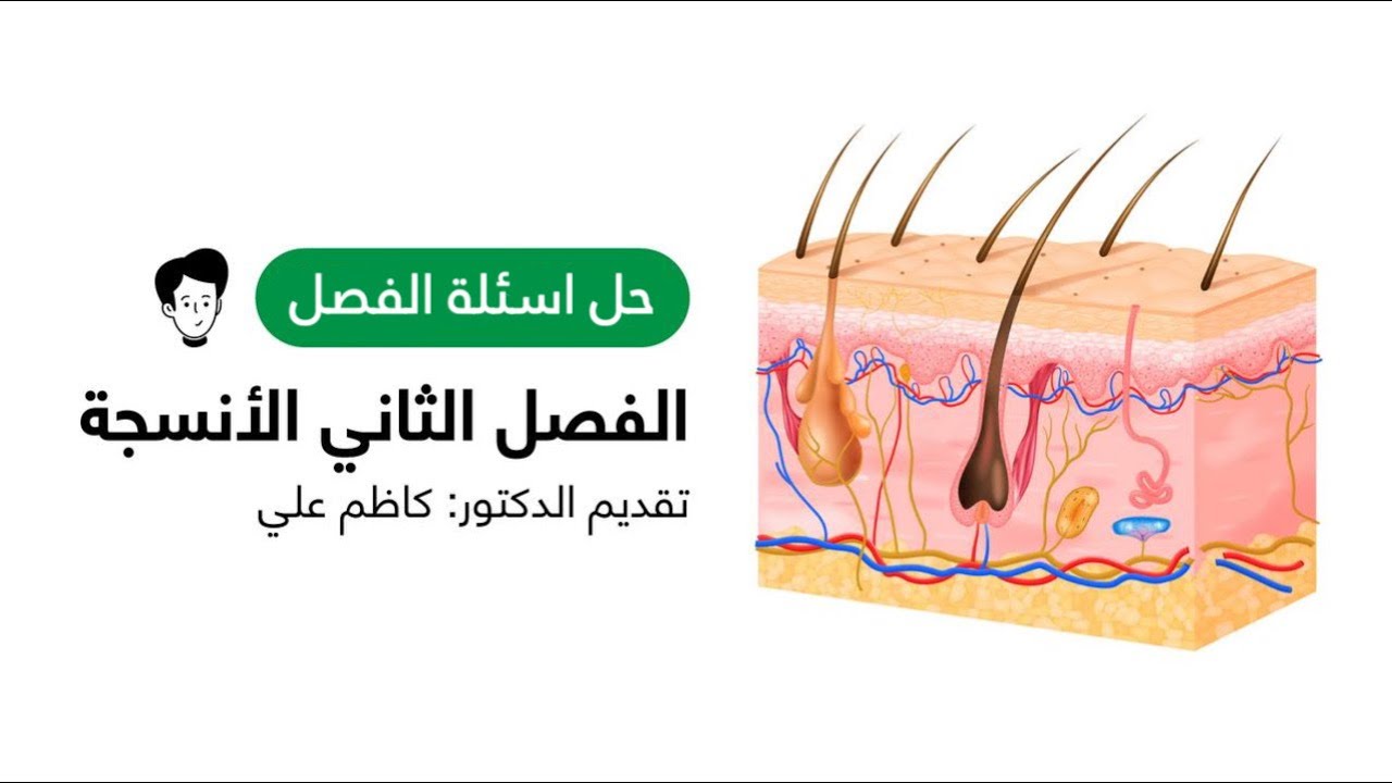 حل اسئلة الفصل الانسجة  | محاضرة 11 | أحياء السادس العلمي الفصل الثاني