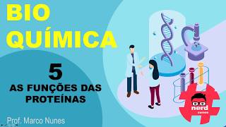 Roteiro 2 (bioquímica): Aula 5 - As funções das proteínas (Professor Marco Nunes)