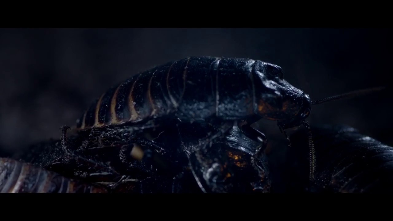 Hypersomnia (Hipersomnia) theatrical trailer - Gabriel Grieco-directed horrAR