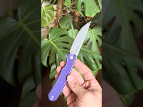 SENCUT Scitus Ostap Hel D2 Purple G10 Steel Linerlock Folder WE Knife Co CIVIVI Cheap Budget 