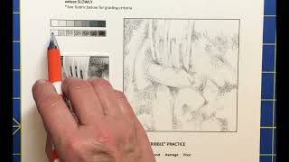 Controlled Scribble Video