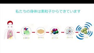サイマティクスセラピーとは