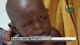 Hand in Hand: Ecofarms Boosts Food Security | World Food Day 2025