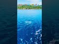 👍 4K It Never Ends 🐬☀️😎🇭🇷🌊