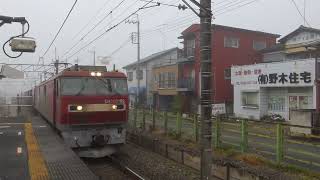宇都宮線 野木駅 EH500牽引 3087レ通過