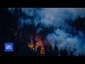Canada wildfires spread smoke across Northeast, worsening air quality in NYC, Chicago and MN