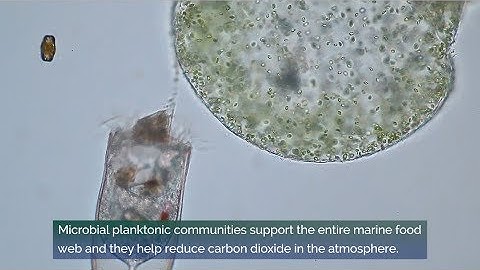 Microbial community gets a seasonal shake up