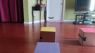 EEL6606 Project 3:  CoDrone EDU Baseball