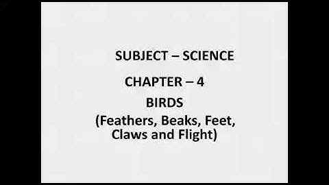 Science (Part -2) Birds  (Feathers,Beaks,Feet, Claws and Flight)
