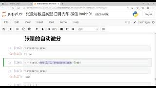 PyTorch张量的微分运算