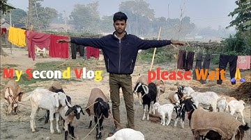 My Second Vlog || Part 2 || #vlog #vlogger #vlogs #vlogvideo #vloglife #vloggers 