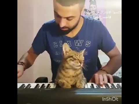 Https Www Facebook Com D8 A7 D8 AD D9 85 D8 AF D8 A7 D9 84 D8 B9 D9 85 D8 B1 1478263428953009 