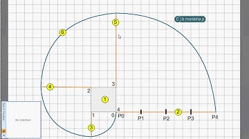 Involute of a Square