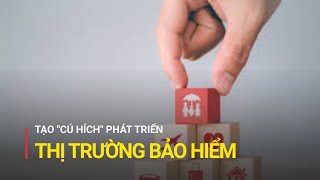 Tạo "cú hích" phát triển thị trường bảo hiểm | Truyền hình Quốc hội Việt Nam screenshot 5
