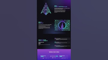 Freelance front-end developer