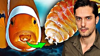 Parasit Frisst Die Zungen Seiner Opfer